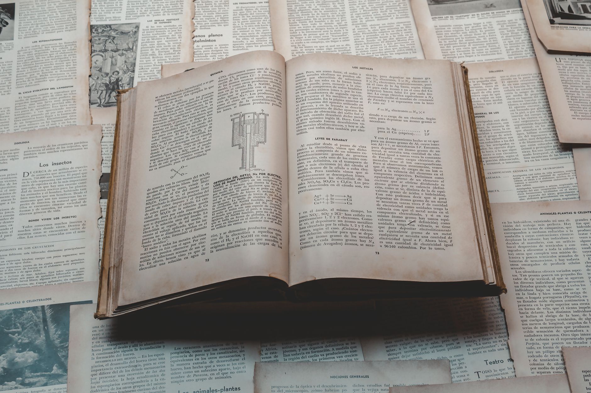 Cómo usar Claude para resumir libros y documentos en 5 min