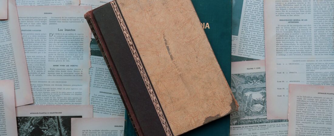 Claude resume libros y documentos en 5 min: el truco oculto
