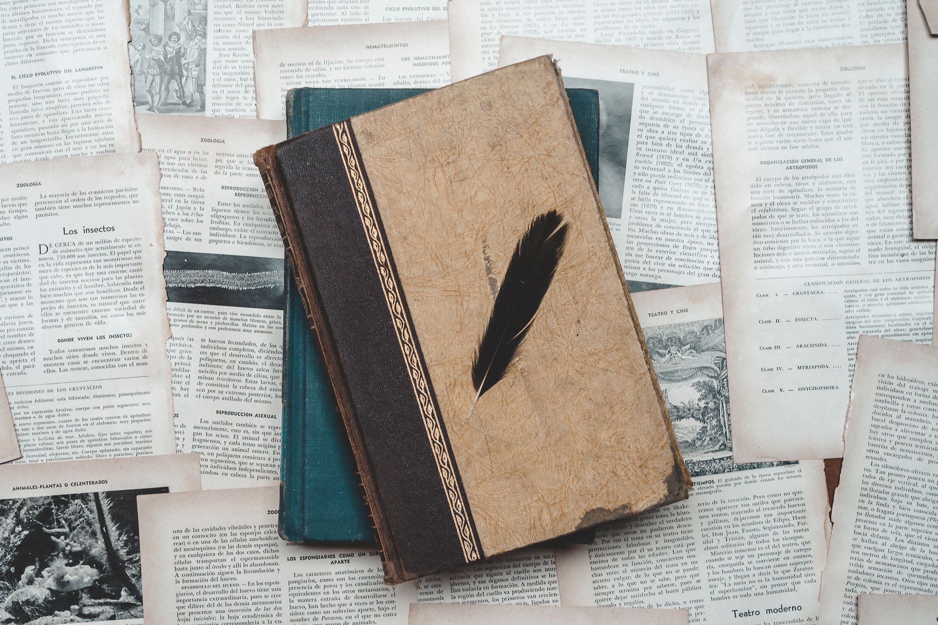 A classic setup with vintage books and a black feather on aged paper, perfect for historical or educational themes.