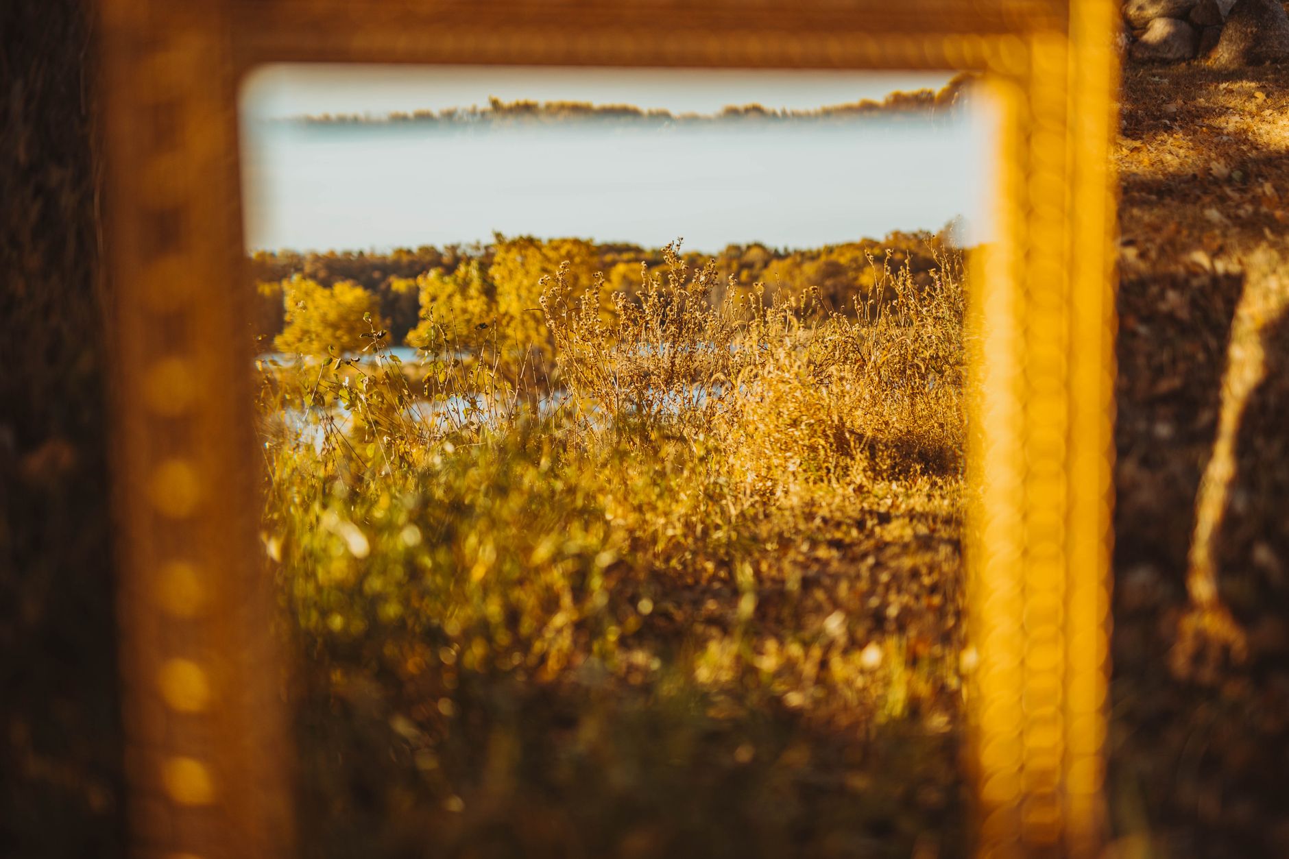 A serene autumn landscape reflected in a framed mirror, showcasing vibrant golden hues.